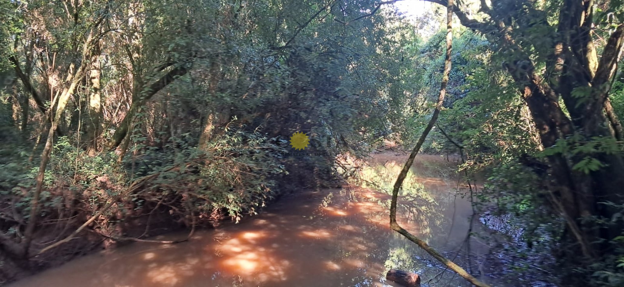 CHACRA DE 17,6 HAS. EN SAN IGNACIO. MISIONES. 