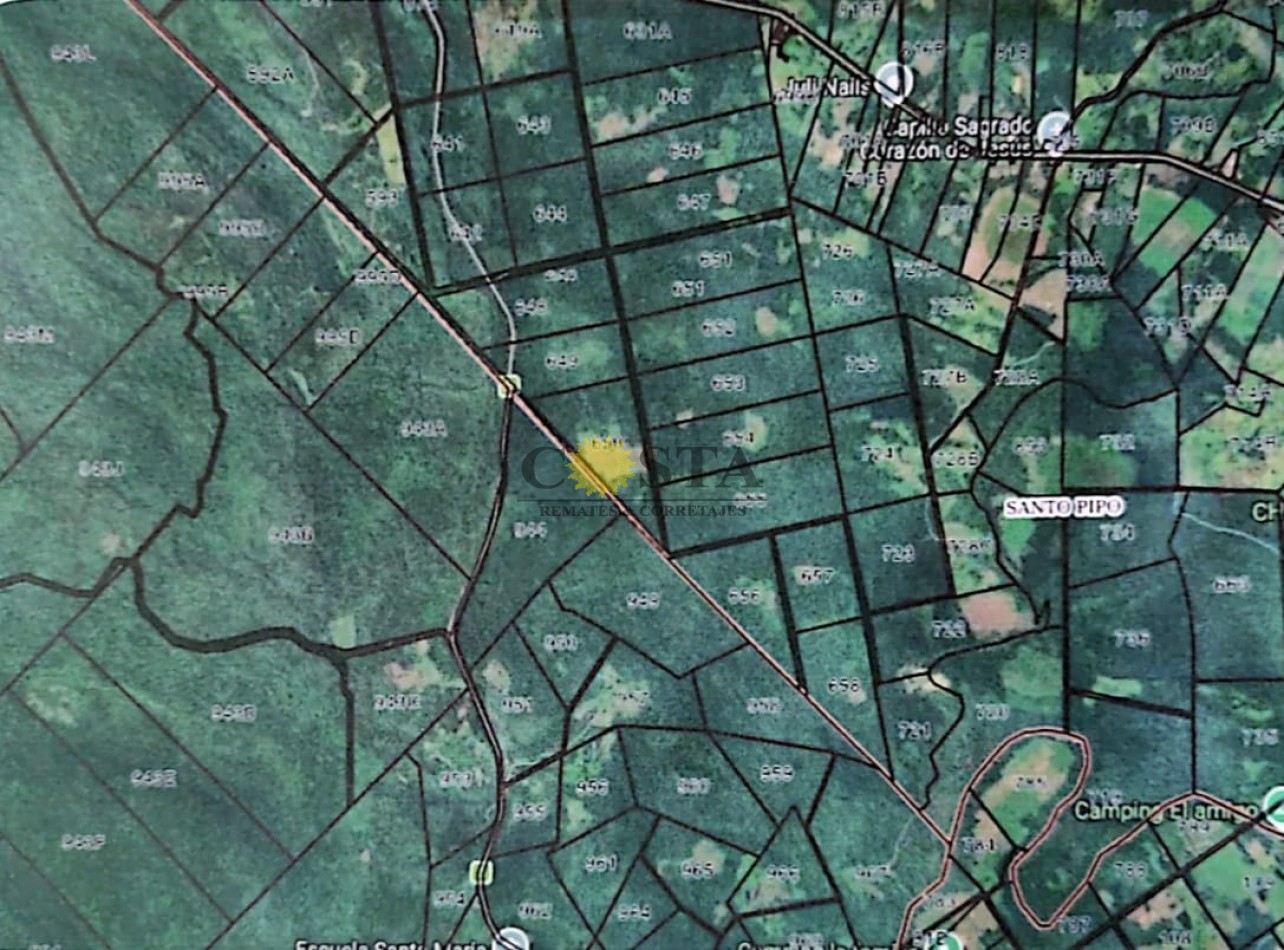 CAMPO DE 267,91 HAS. EN COLONIA TACUARA, SANTO PIPO, MISIONES