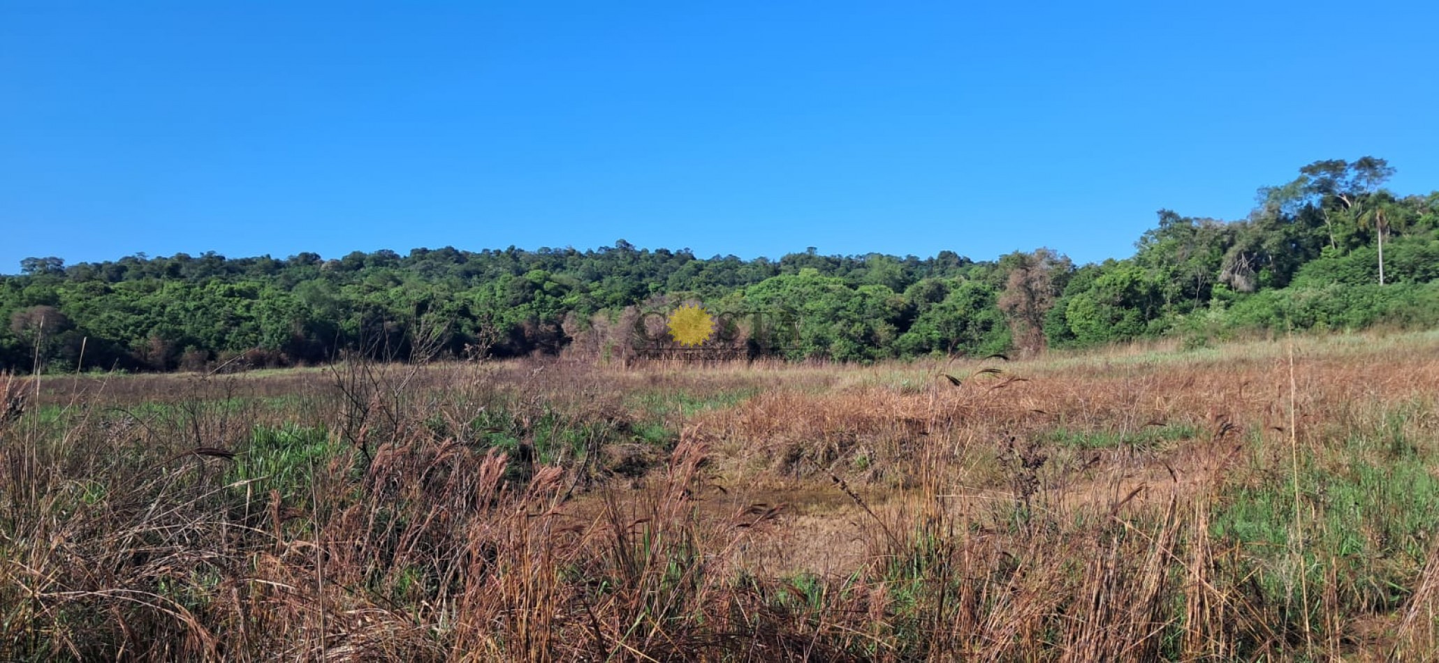 CHACRA DE 17,6 HAS. EN SAN IGNACIO. MISIONES. 