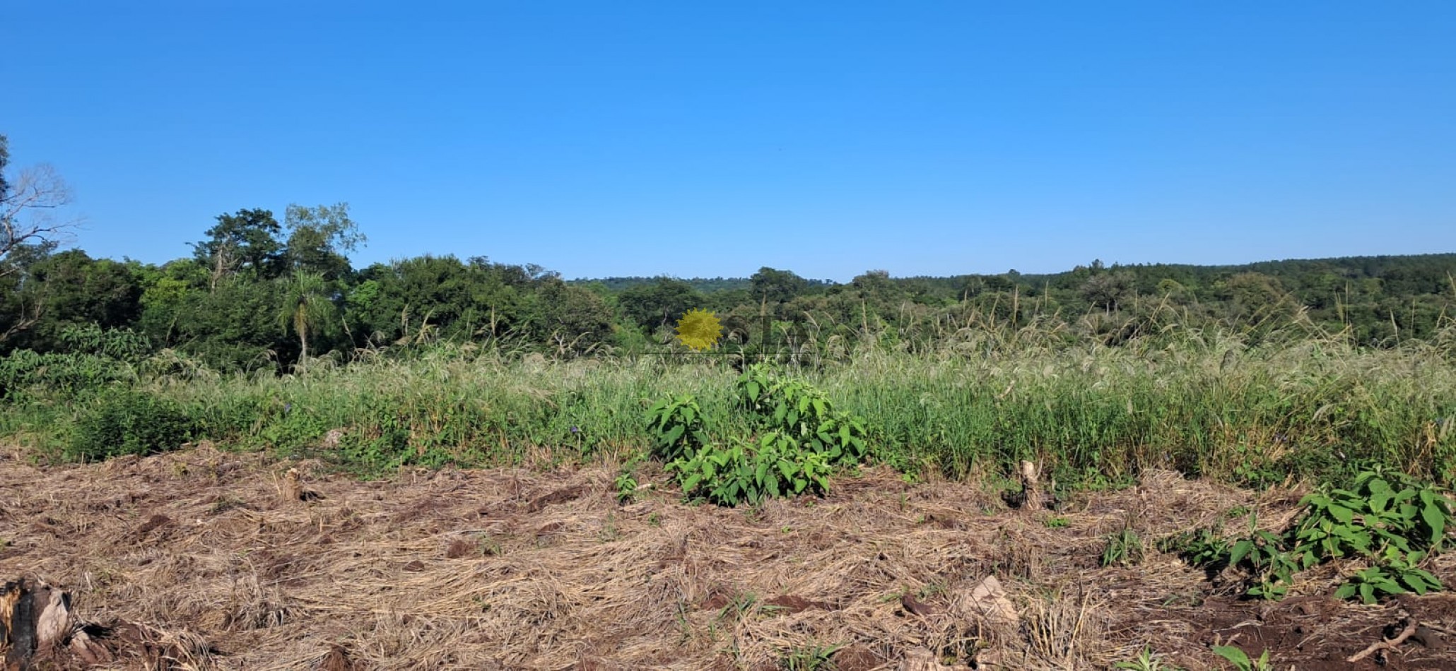 CHACRA DE 17,6 HAS. EN SAN IGNACIO. MISIONES. 