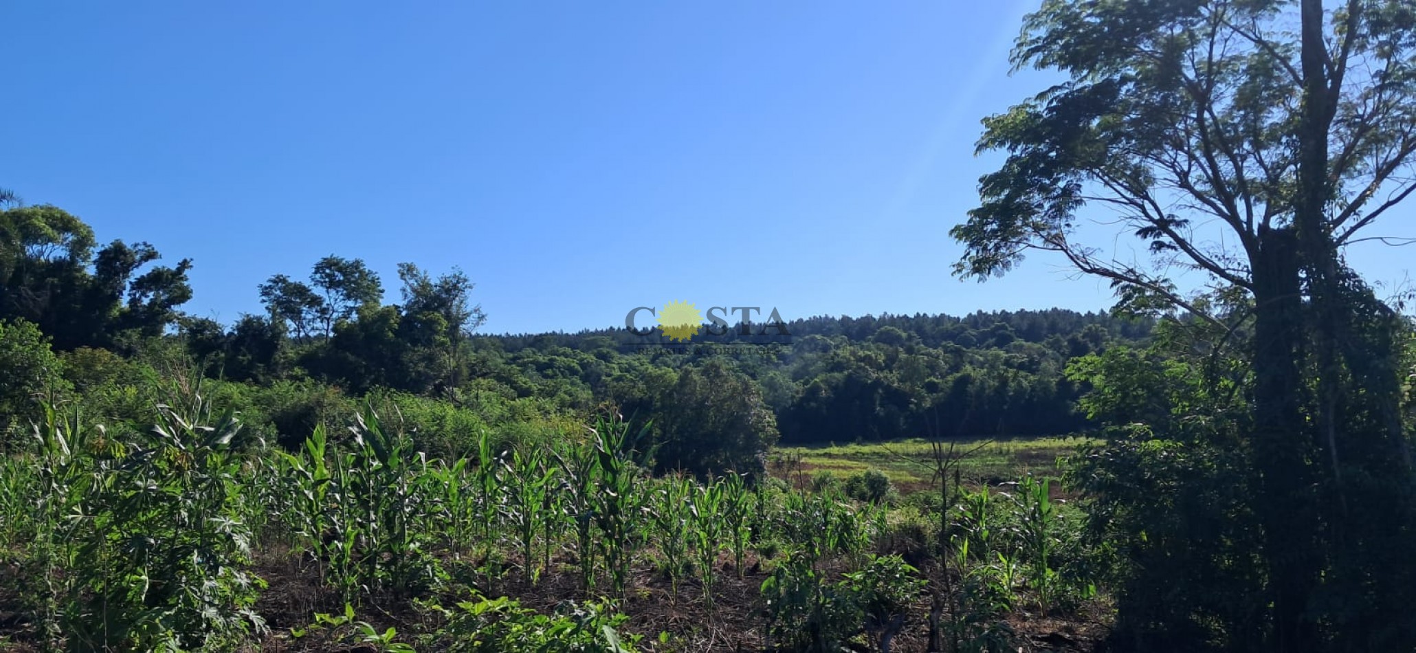 CHACRA DE 17,6 HAS. EN SAN IGNACIO. MISIONES. 