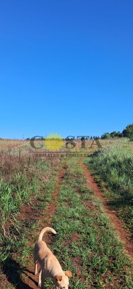 CHACRA DE 17,6 HAS. EN SAN IGNACIO. MISIONES. 