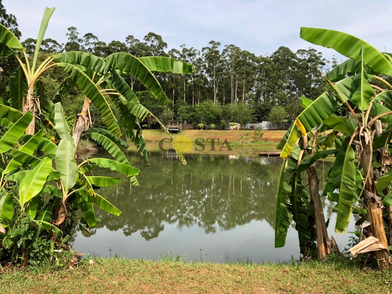 PESQUE Y PAGUE DE 1,2 HAS. CON 3 LAGUNAS. SAN ISIDRO. POSADAS. MISIONES