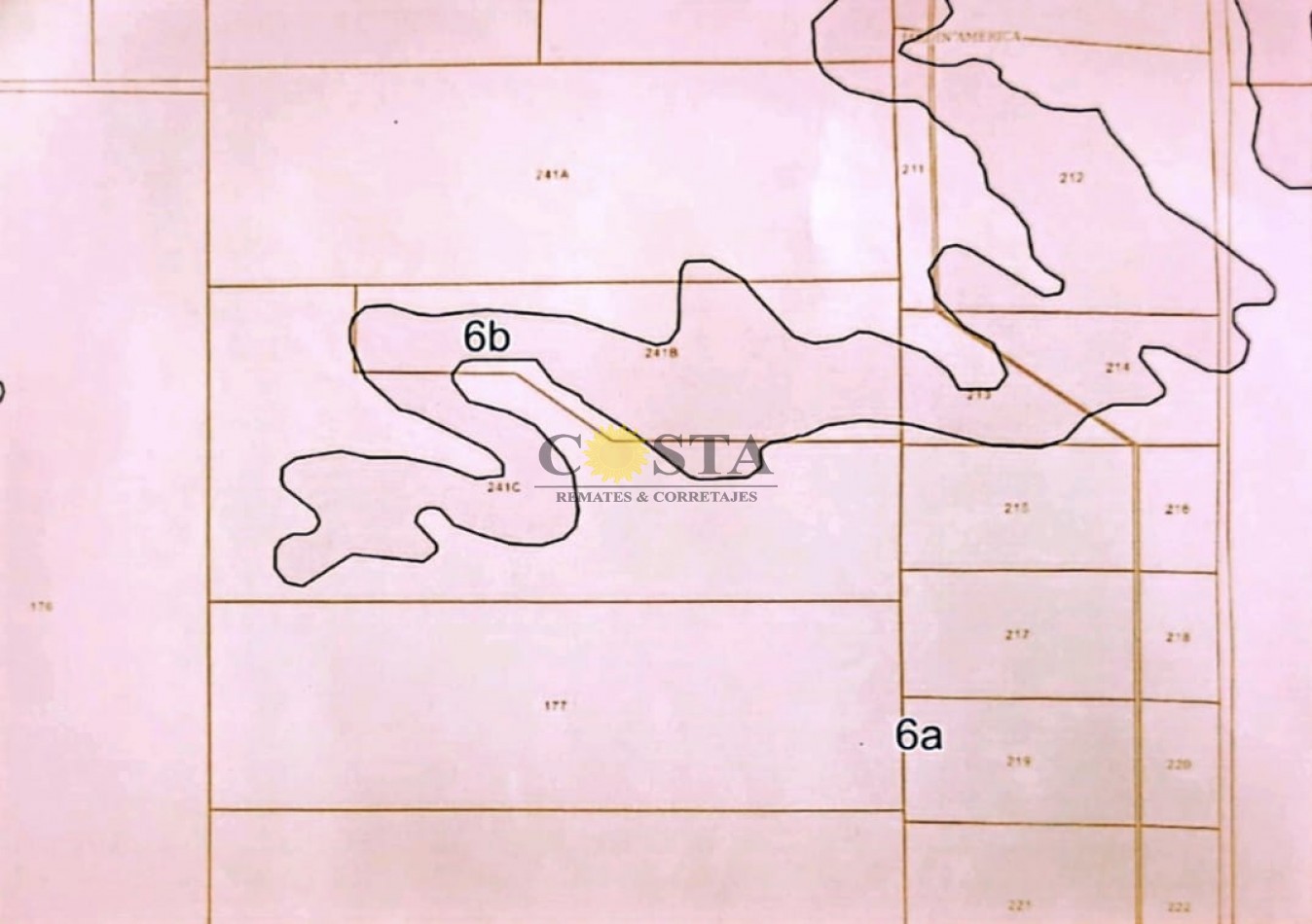 CAMPO DE 293,48 HAS., EN JARDIN AMERICA, MISIONES