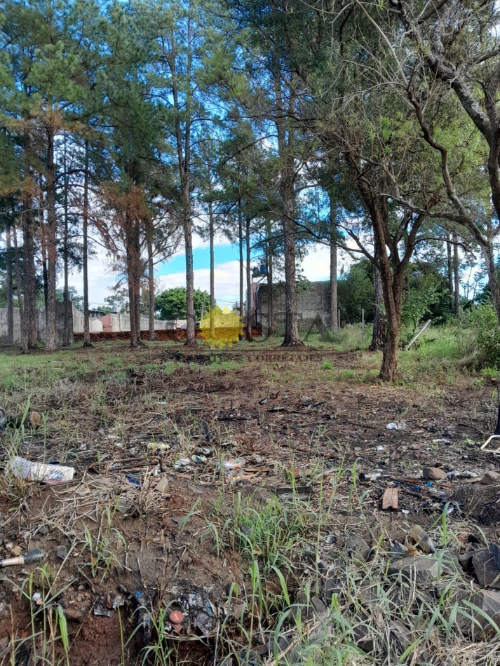 AMPLIO TERRENO A 250 MTS. DE AV. QUARANTA, ITAEMBE MINI, POSADAS. MISIONES