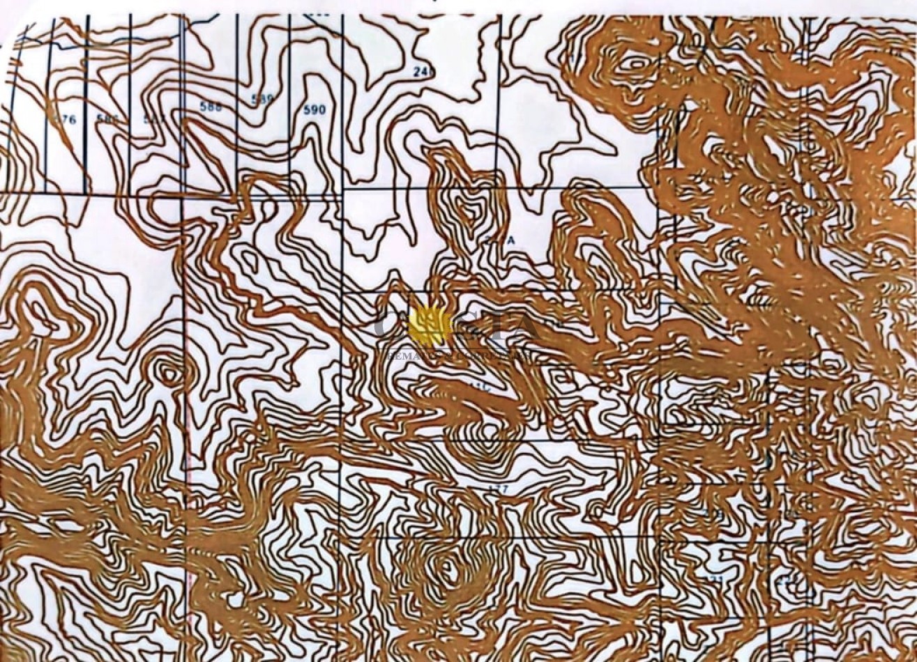 CAMPO DE 293,48 HAS., EN JARDIN AMERICA, MISIONES