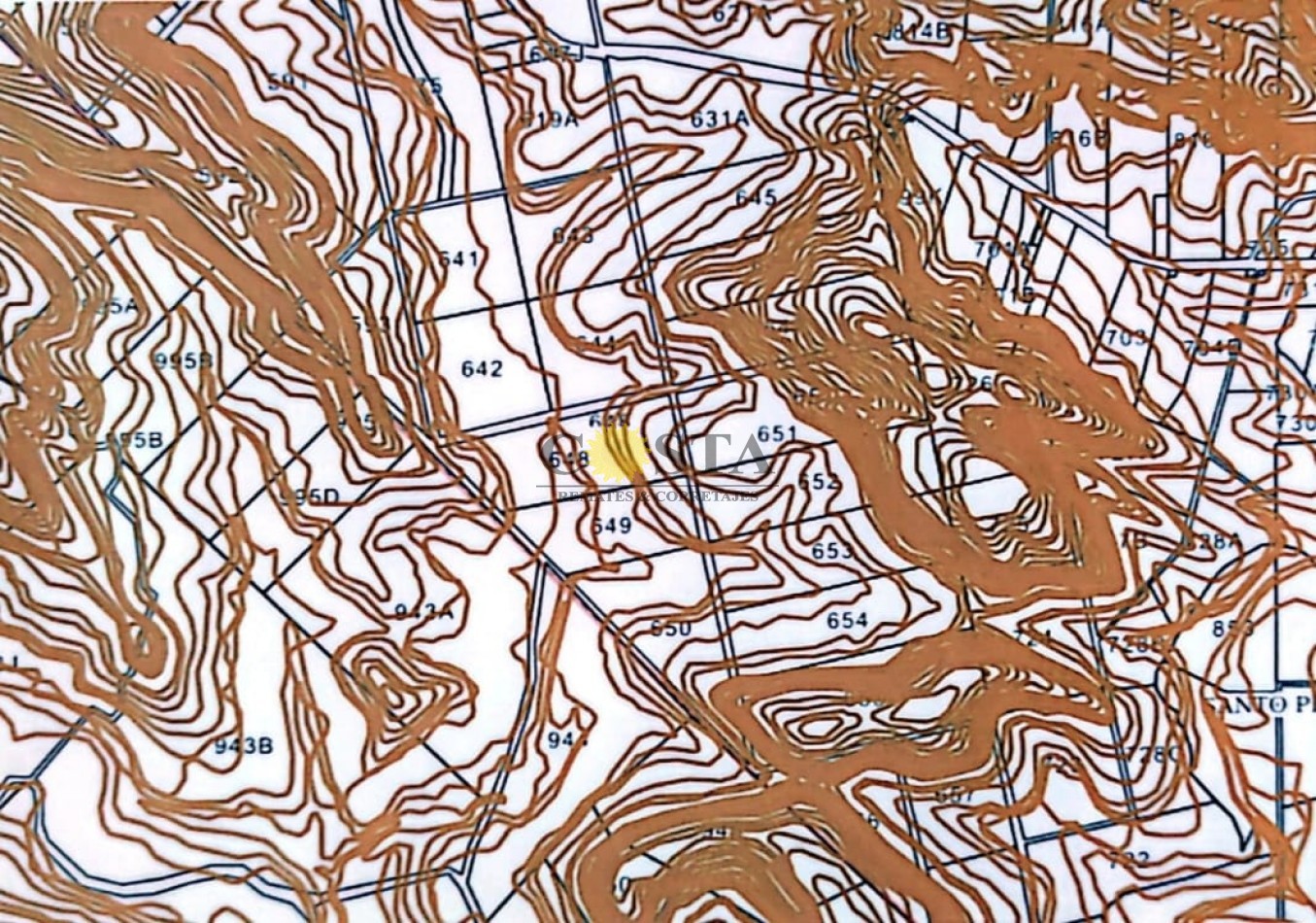 CAMPO DE 267,91 HAS. EN COLONIA TACUARA, SANTO PIPO, MISIONES