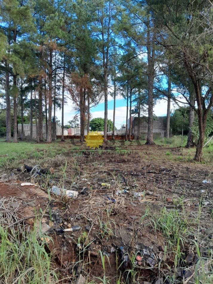 AMPLIO TERRENO A 250 MTS. DE AV. QUARANTA, ITAEMBE MINI, POSADAS. MISIONES