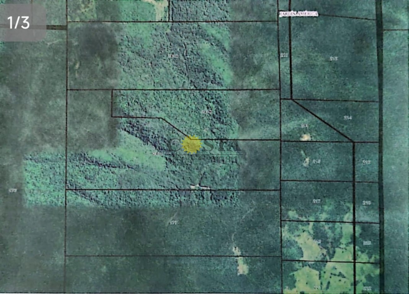 CAMPO DE 293,48 HAS., EN JARDIN AMERICA, MISIONES