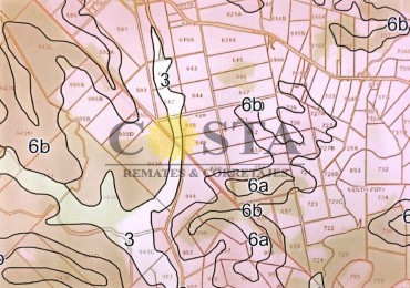 CAMPO DE 267,91 HAS. EN COLONIA TACUARA, SANTO PIPO, MISIONES