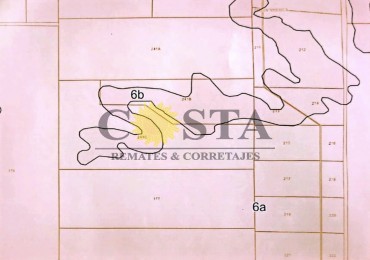 CAMPO DE 293,48 HAS., EN JARDIN AMERICA, MISIONES