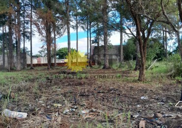 AMPLIO TERRENO A 250 MTS. DE AV. QUARANTA, ITAEMBE MINI, POSADAS. MISIONES